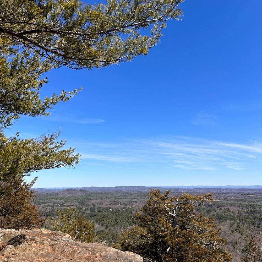 Meet your Posher, Arlene